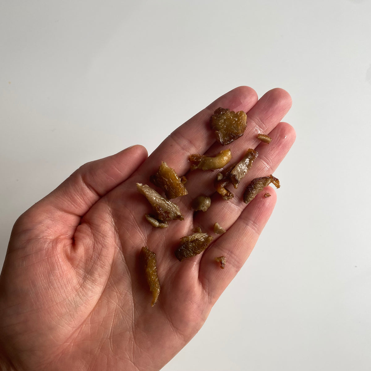 Introducing Mushrooms to Babies + Toddlers: 4 Safety Tips – R&R Cultivation