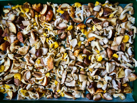 Roasted Mushroom Medley with Caramelized Onions