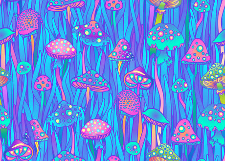 Whoa Dude! Mushrooms in Pop Culture