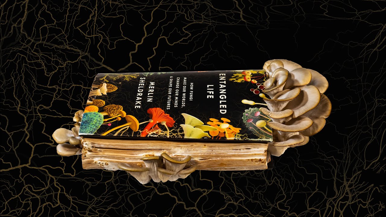 Entangled Life by Merlin Sheldrake
