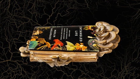 Entangled Life by Merlin Sheldrake