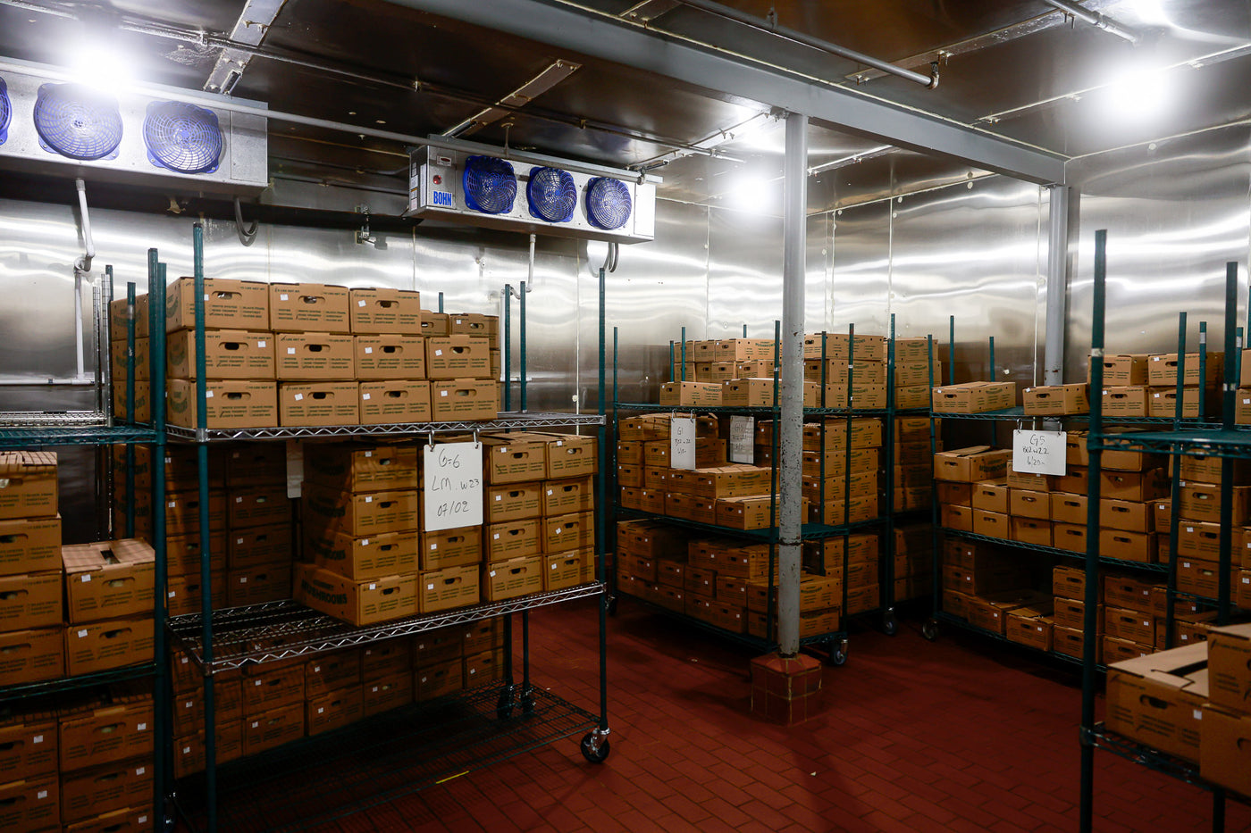 Boxes on shelves in a room - mushroom wholesale in Minnesota