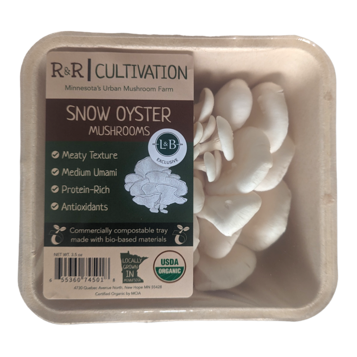 White Oyster Mushrooms - R&R Cultivation
