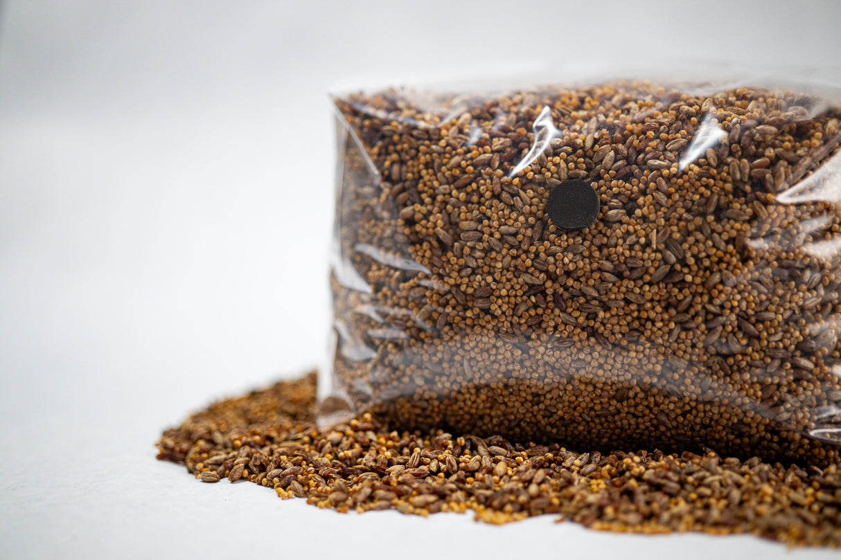 Organic Sterilized Grain | 3 or 6lb Bags - R&R Cultivation