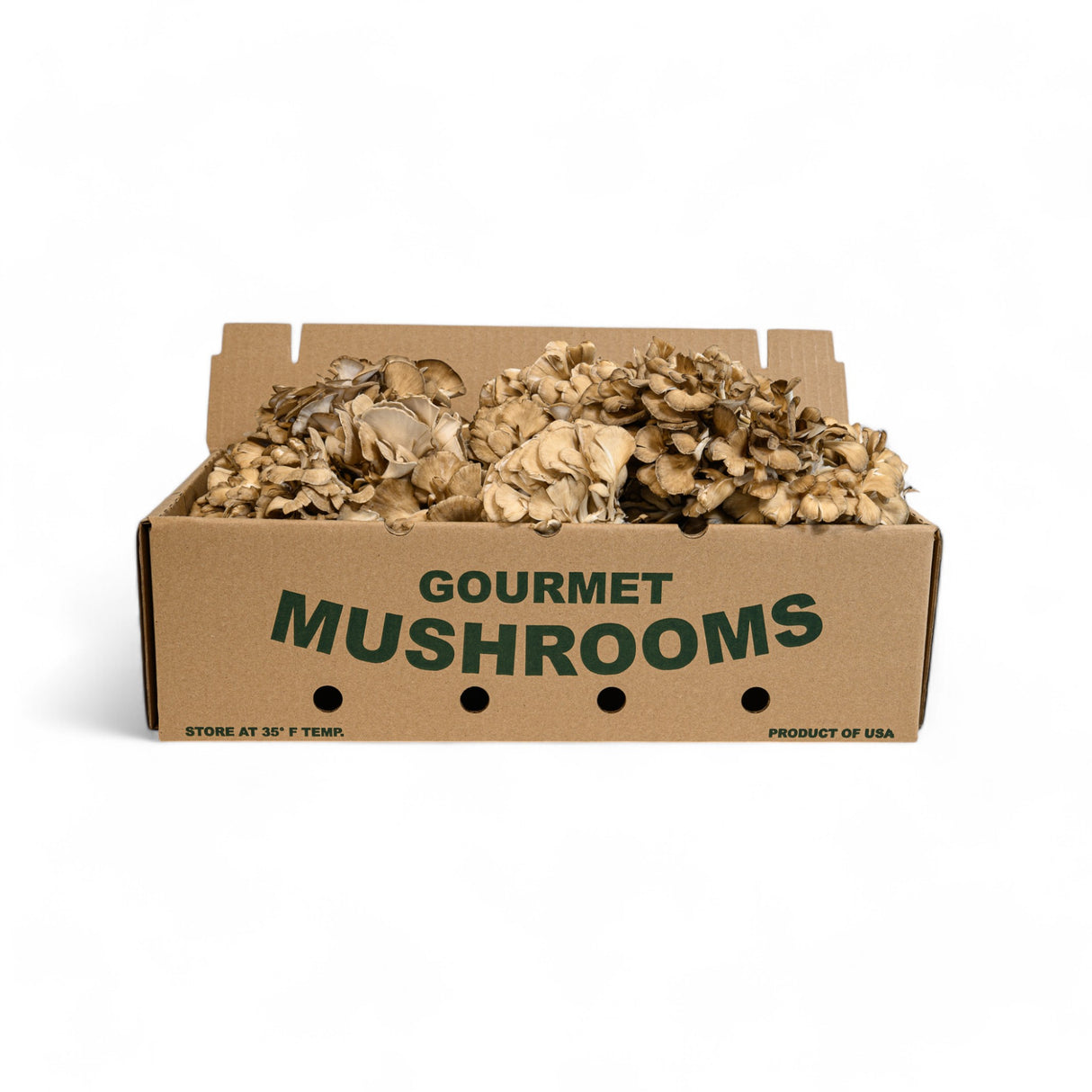 Maitake Mushrooms - R&R Cultivation