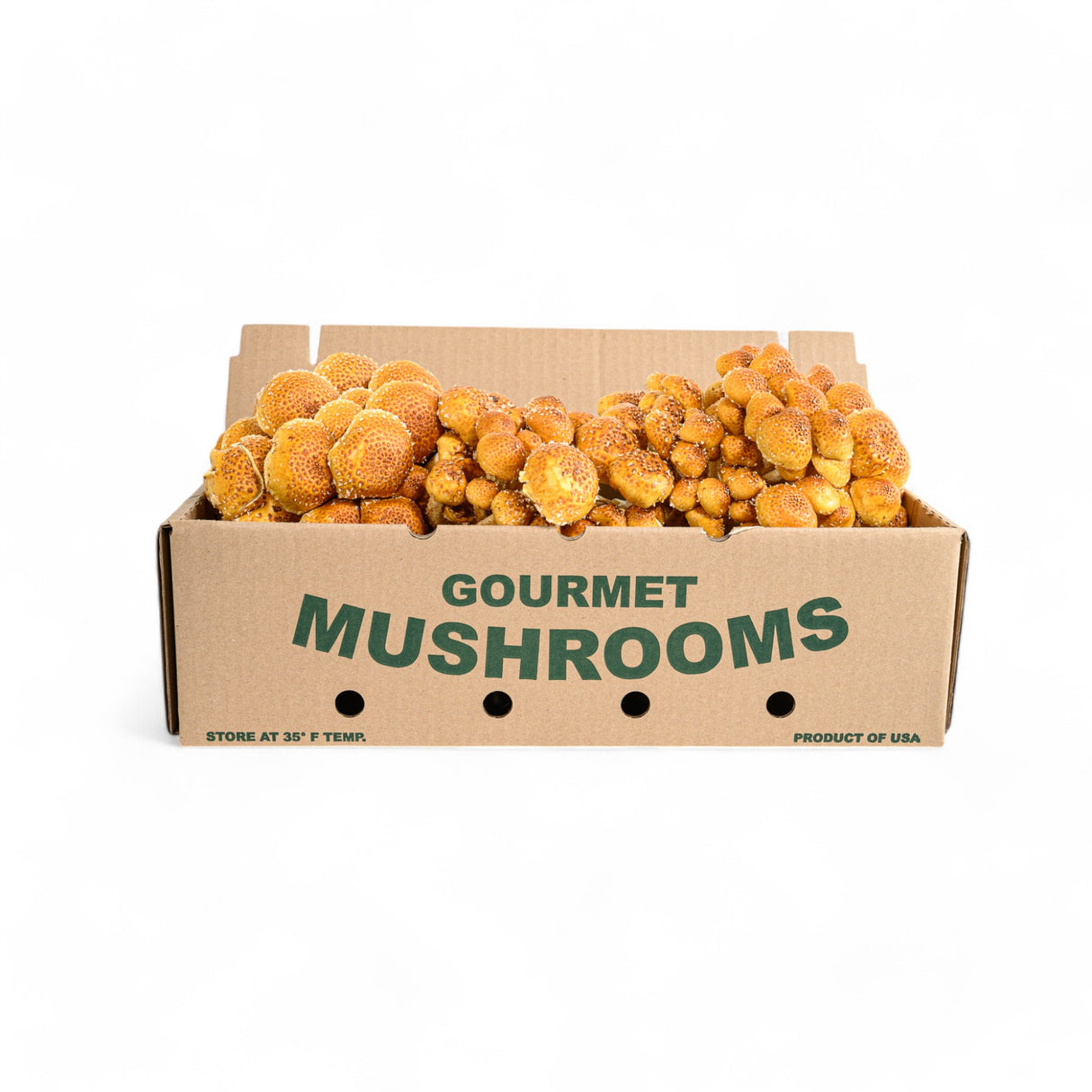 Chestnut Mushrooms - R&R Cultivation