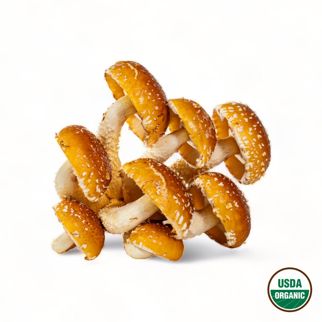 Chestnut Mushrooms - R&R Cultivation