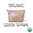 Organic Inoculated Grain Spawn | 6 LB Bags - R&R Cultivation