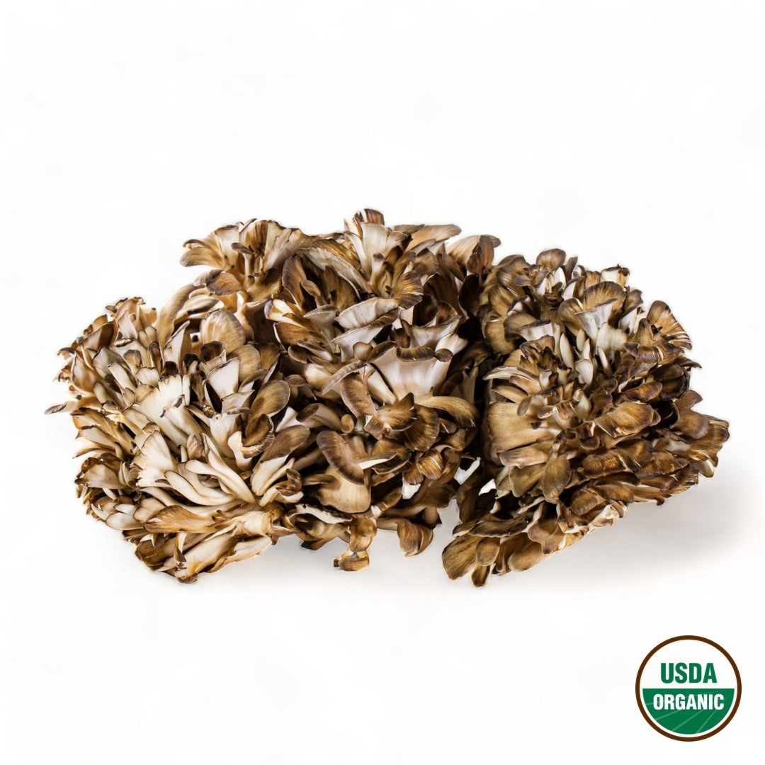 Maitake Mushrooms - R&R Cultivation