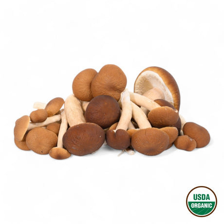 Pioppino Mushrooms - R&R Cultivation