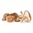 Load image into Gallery viewer, Shiitake Mushrooms - R&R Cultivation