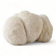 Load image into Gallery viewer, Organic Mushroom Grow Kit - R&R Cultivation