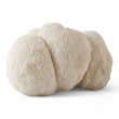 Load image into Gallery viewer, Lion's Mane Mushrooms - R&R Cultivation