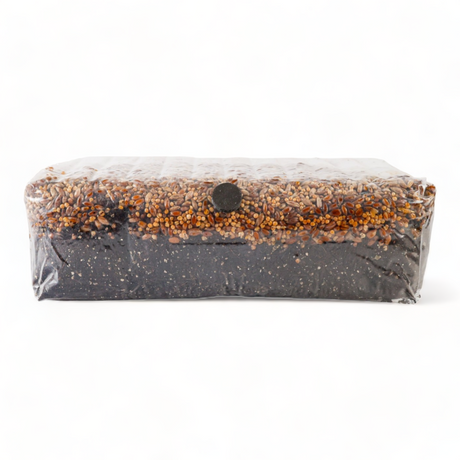 All In One Grow Bag - R&R Cultivation