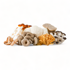 Gourmet Mushroom Mix - R&R Cultivation