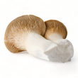 Load image into Gallery viewer, King Trumpet Mushrooms - R&R Cultivation