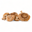 Load image into Gallery viewer, Shiitake Mushrooms - R&R Cultivation