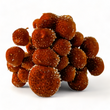 Load image into Gallery viewer, Chestnut Mushrooms - R&R Cultivation