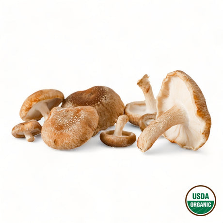 Shiitake Mushrooms - R&R Cultivation