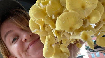 The Benefits of Buying Farmers Market Mushrooms