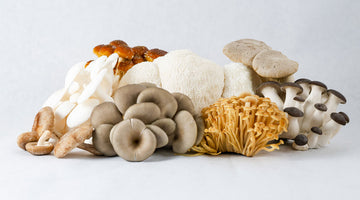 Gourmet Mushroom Medley: A Symphony of Flavors on Your Plate