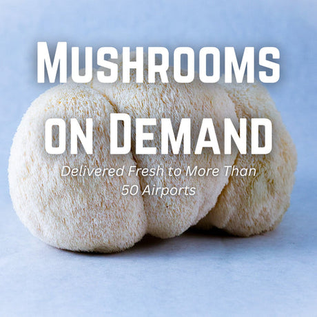 Mushrooms On Demand