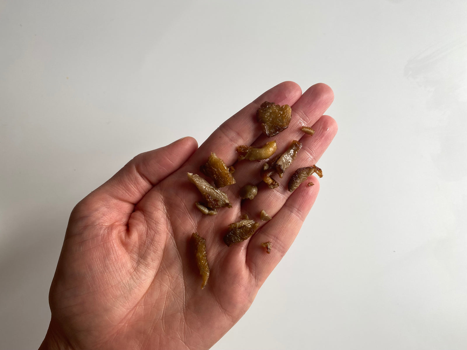 can babies eat mushrooms	- a hand holding a small mushroom