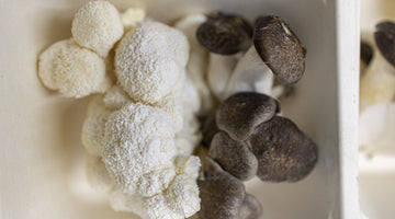 Health Benefits of Including Gourmet Mushrooms in Your Diet