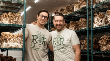 Fresh Minnesota Mushrooms - R&R Cultivation featured in Go Solo