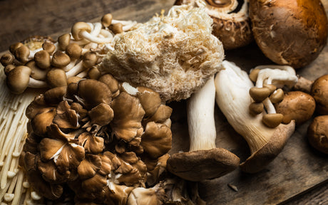 Creating Meat Substitutes with Mushrooms