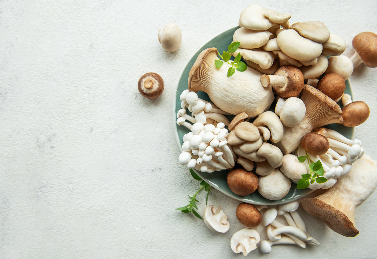 How to Incorporate Mushrooms into Your Daily Diet