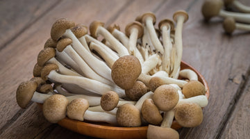 Mushroom Spotlight: Beech Mushrooms
