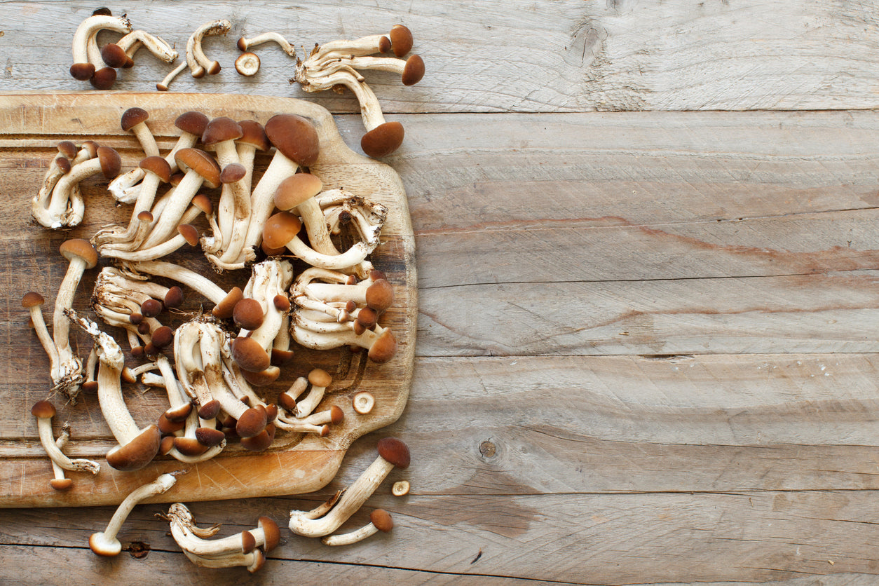 Organic Mushrooms are a Nutritional Powerhouse