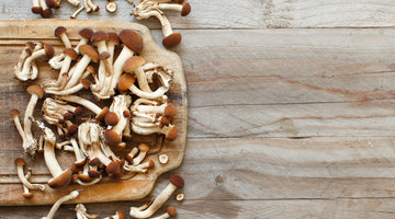 Organic Mushrooms are a Nutritional Powerhouse