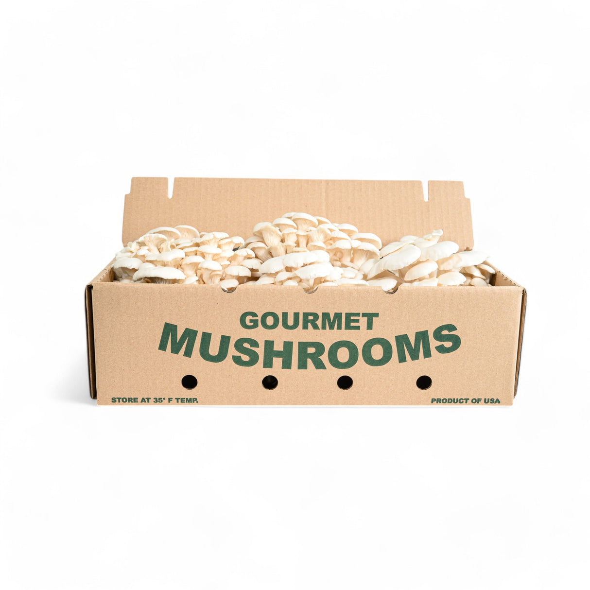 White Oyster Mushrooms