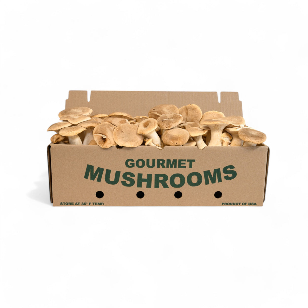 King Trumpet Mushrooms