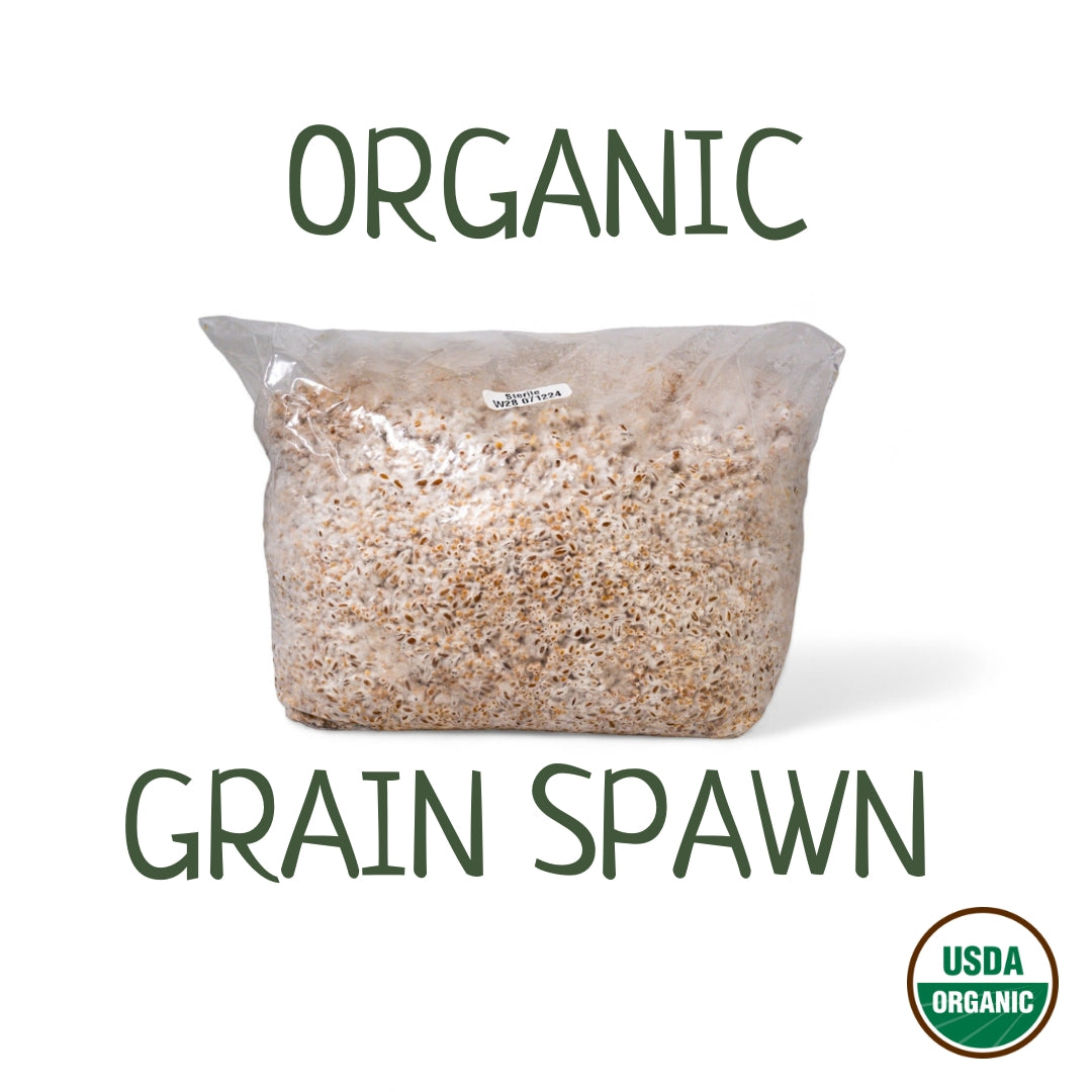 Organic Inoculated Grain Spawn | 6 LB Bags