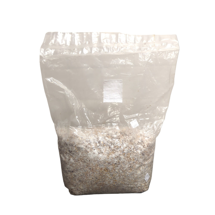 Organic Inoculated Grain Spawn | 3 or 6 LB Bags - R&R Cultivation