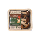 Pioppino Mushrooms - R&R Cultivation