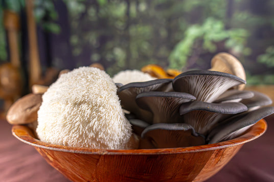 a bowl of mushrooms in front of a window - R&R Cultivation