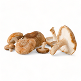 Shiitake Mushrooms - R&R Cultivation