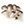 Load image into Gallery viewer, Black Pearl Mushrooms - R&amp;R Cultivation
