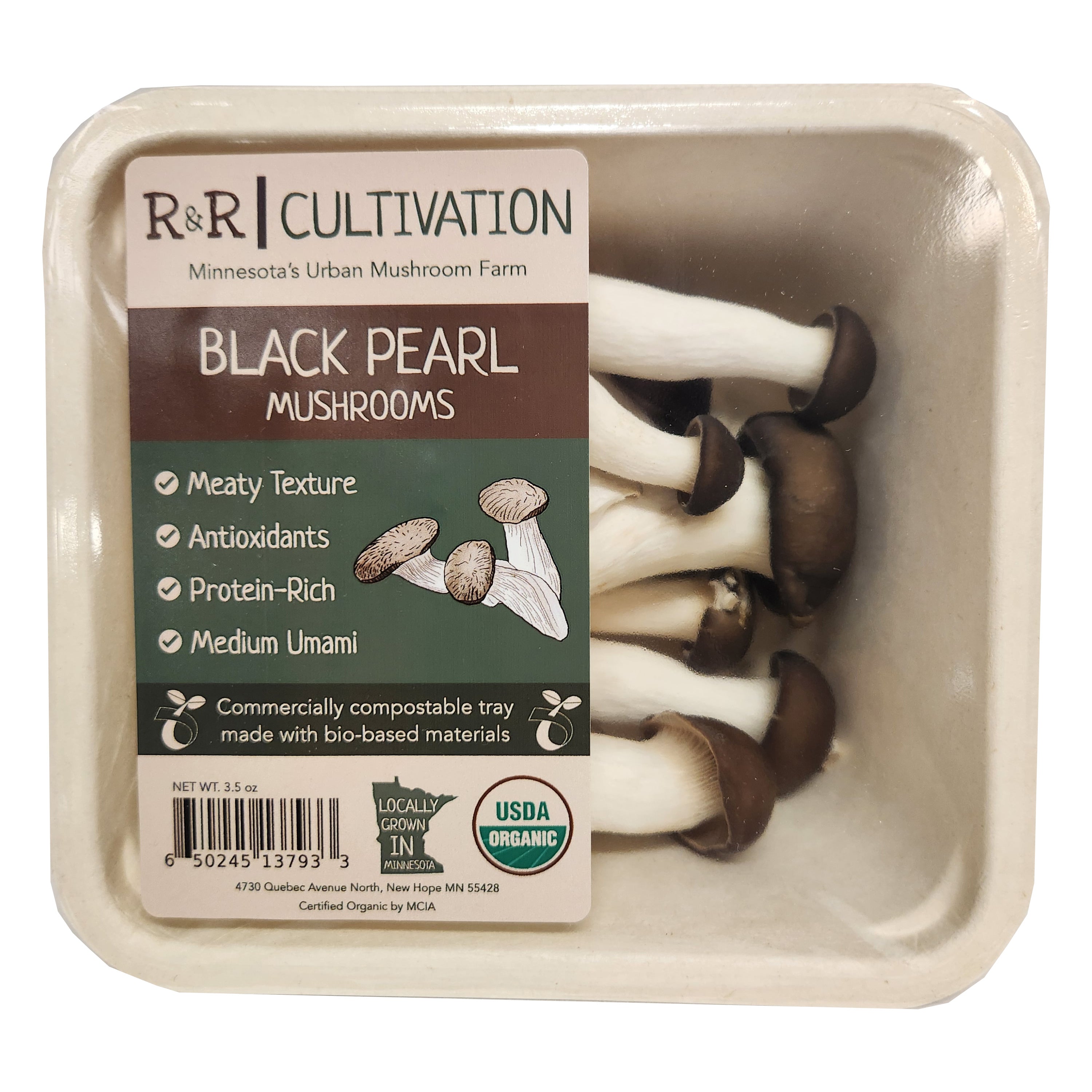 Black King Mushrooms | Minnesota Mushrooms | R&R Cultivation