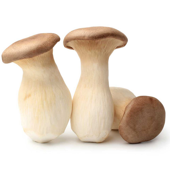 Minnesota Mushroom Grower Buy Fresh, Gourmet Mushrooms in MN R&R