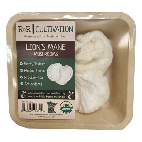 lions mane mushroom for sale - R&R Cultivation