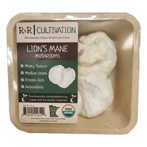 Lion's Mane Mushrooms - R&R Cultivation