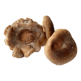 Shiitake Mushrooms - R&R Cultivation